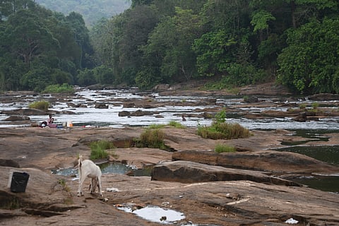 The landscape of Athirappilly in April